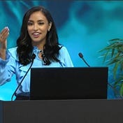 Diana Diaz Castro