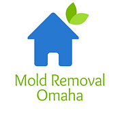 Mold Removal Omaha