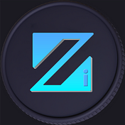 Zi-Network Organization