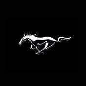 Medium profile picture for @mustang