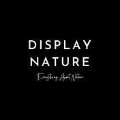 Display Nature