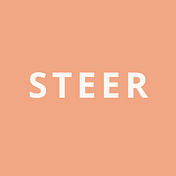 Medium profile picture for @Steer
