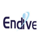Medium profile picture for @Endive
