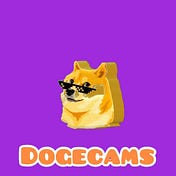 DogeCams