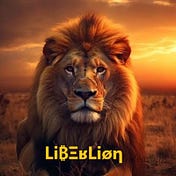 Li₿ΞʁLiøη