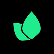 MINT-IT