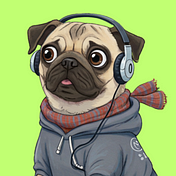 BWenz The Pug 🐾 Pawspectives