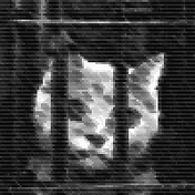 Medium profile picture for @veg