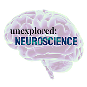 Unexplored Neuroscience