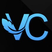 The VC Whisperer