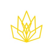 Lotus Network