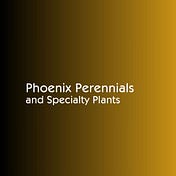 Pheonix Perennials & Specialty Plants