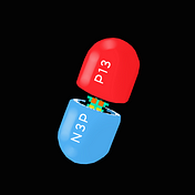 n3pp13