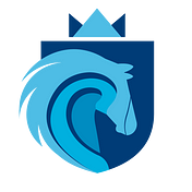 Stallion Market Research