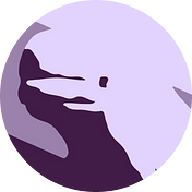 Beluga Protocol HAS MOVED