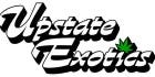 Medium profile picture for @upstate