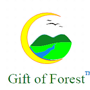 GiftofForest