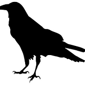 Hark The Raven