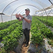 Eitan Israeli