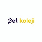 Pet Koleji Pet Kuaför Kedi Köpek Kuaförü İstanbul