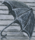 R. Vincoletto