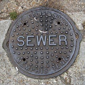 Medium profile picture for @sewer