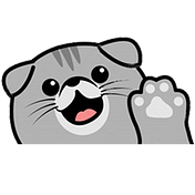 Scottish Fold