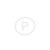 Pneumatopia