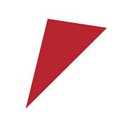 JAPAN DIRECT INVESTMENT COMPANY
