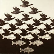David Puell