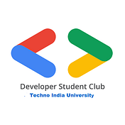 Developer Student Clubs TIU