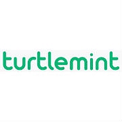 Life at Turtlemint