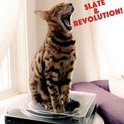 Slate & Revolution