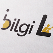 bilgilobi