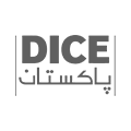 DICE Fellowship Pakistan