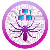 SPIDER VPS