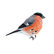 Myblindbird