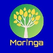 Moringa Farm