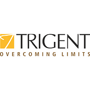 Trigent Software Inc
