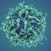 Medium profile picture for @immunology