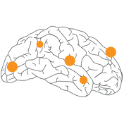 NEURONprocessing