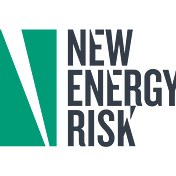 New Energy Risk