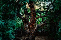 The World Is Magic. So Where Is the Magician?