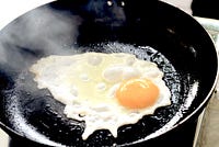 How ‘Should’ Makes Us Stupid — And How to Get Smart Again