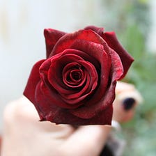 About Kate Rose — Who Am I?