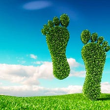 Carbon Footprint: Meaning, Calculation, And Reduction — Climate Carbon