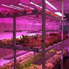Re-Nuble — Enabling Vertical Farms to go Organic