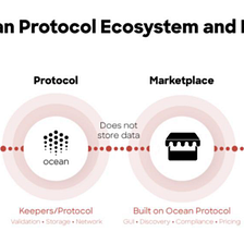 Ocean Academy | Guest Review series