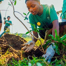 JustSA answers #PowerTracker question