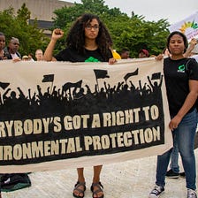 The Harsh Realities of Environmental Racism